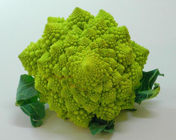 romanesco romanesco
