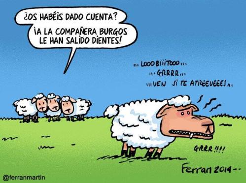 ferranmartin.gamonal