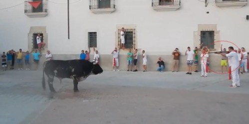 toro.sanjuandecoria.cáceres