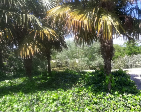 Movil primavera 2018 500