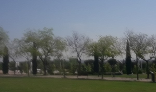 Movil primavera 2018 518