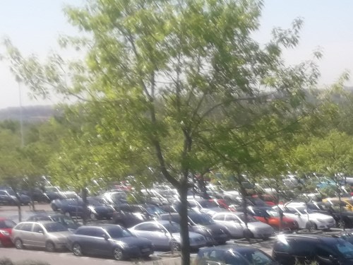 Movil primavera 2018 528